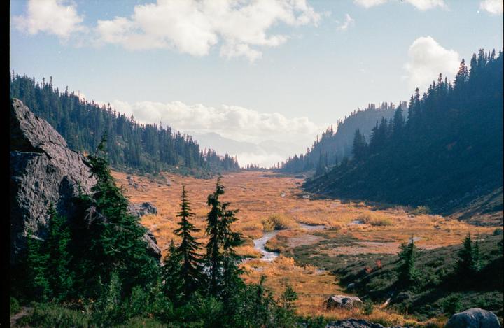 Backcountry BC [Minolta x-700, Portra 400]