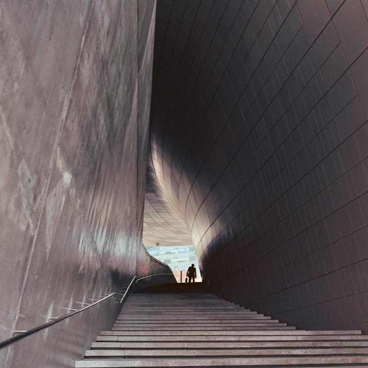 Salaryman | 500C/M, Ektar 100