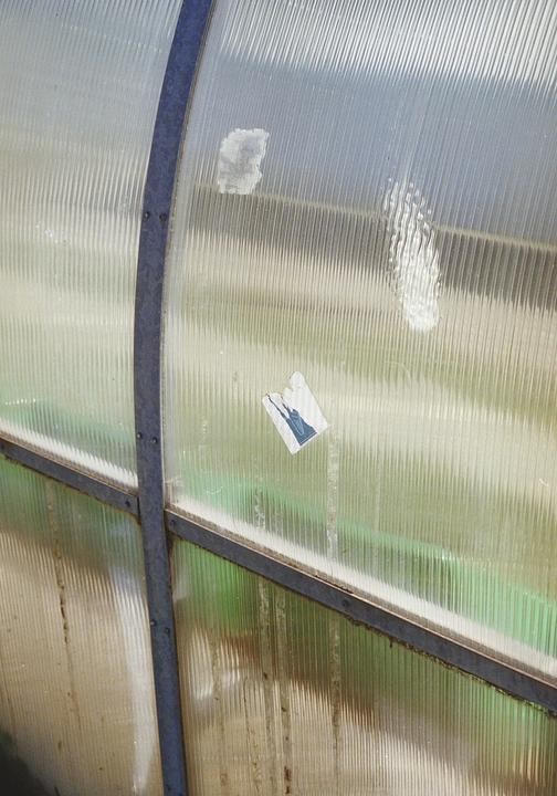 Shots from my Canon A-1