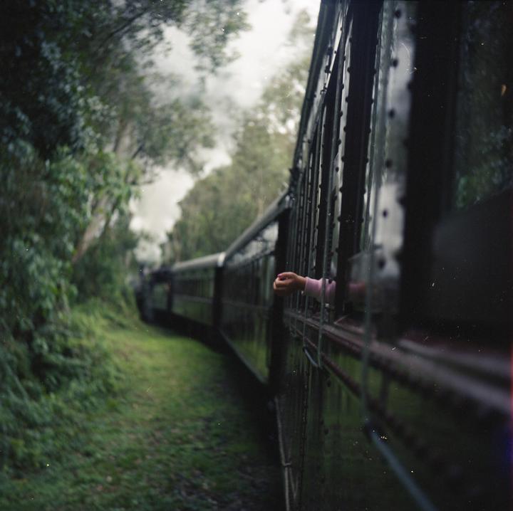 Serra Gaúcha // Yashica-a, Yashikor 80mm, Kodak Gold