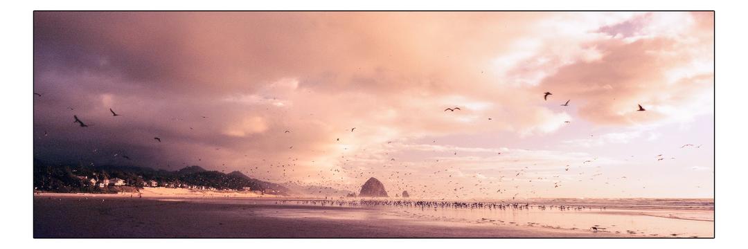 image 35109 by partiallycylon