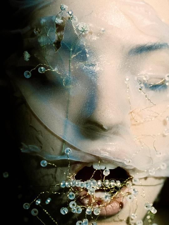 Skin Interventions [Fujifilm Klasse W, Otterfilm 500T]