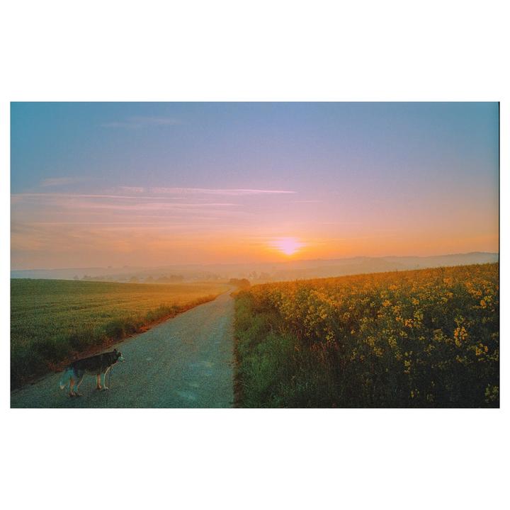 Colorful Morning | Leica MP + Elmarit 28 | Portra 400