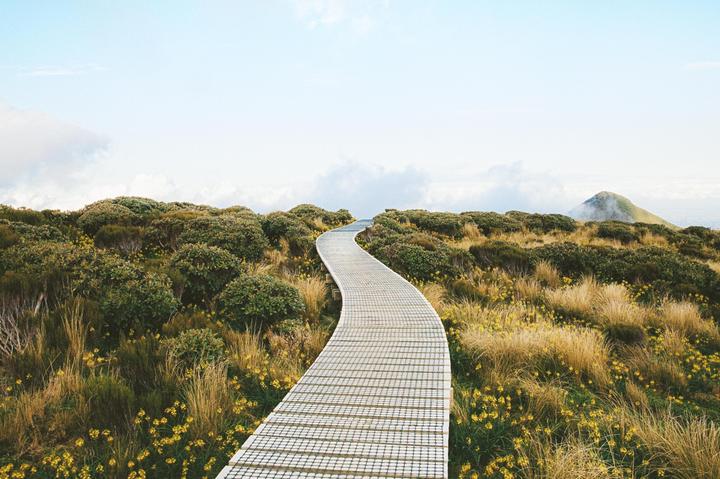 Path of Dreams || Canon Eos 3 + Portra 400 || [OC]