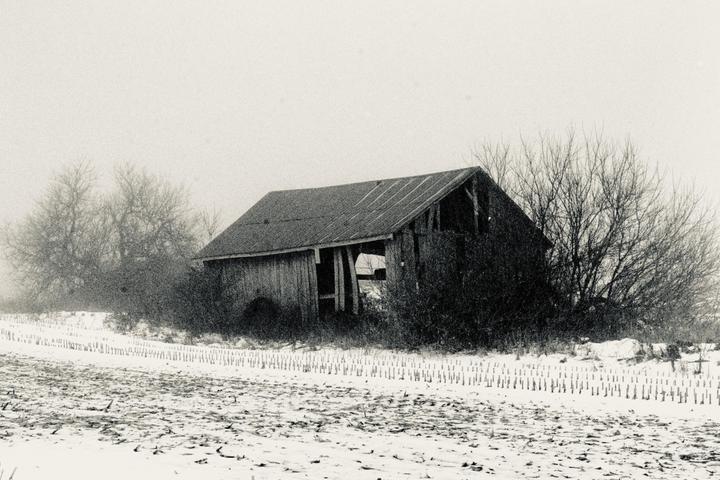 [Rebel XS, 50 1.8, expired Fujifilm Superia 400] Edited to try and make this look like an albumen print.