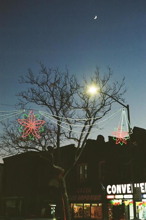 A crescent moon hangs in the sky above a street with bare trees and neon holiday decorations.
