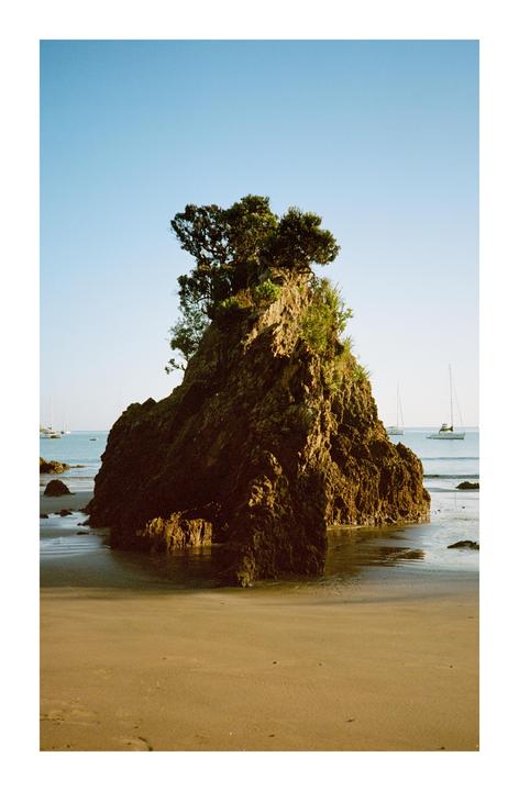 Two of my favourite shots from a trip to Waiheke [Olympus XA - Ekta 100]