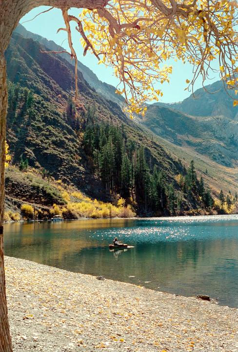 Fall Colors in the Eastern Sierras [Nikon F100 / 50mm f1.8 / Vision3 250D]