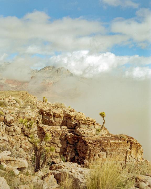 In the clouds at Red Rock Canyon (Mamiya RB67 | 90mm f3.8 | Kodak Gold 200)
