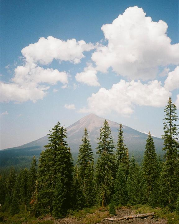 A Walk on an Oregon Trail (Samsung AF Slim & Fuji 400)