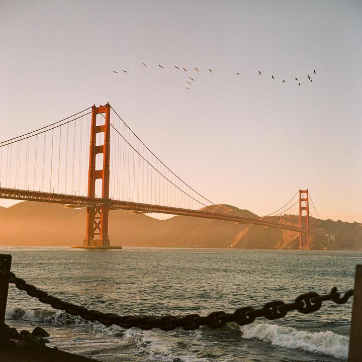 Rolleiflex 3.5F, Portra 400
