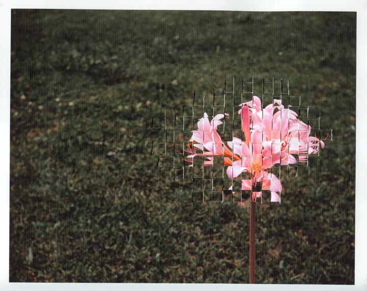 "Analog Pixels 19", Image originally shot on Kodak Portra 400 film with a Rollei B35 camera. The negative was scanned and then 2 copies were printed with an inkjet printer. I then cut one of the copies into strips and wove them into the other copy to produce the final image.