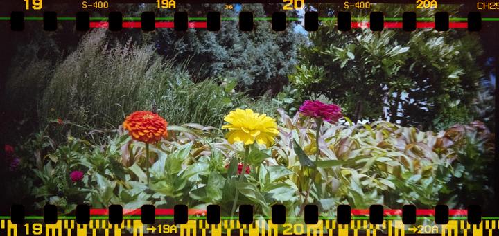Lomography Sprocket Rocket + Fujifilm Superia X-TRA 400