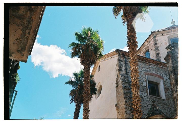 Sky lookin juicy | Ultramax 400, Minolta SRT 101, 55mm