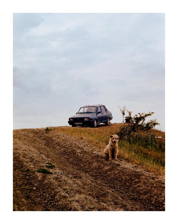 Never leave the dog in the car [Canon F1 | 50 mm 1.4 | Kodak Gold 200]