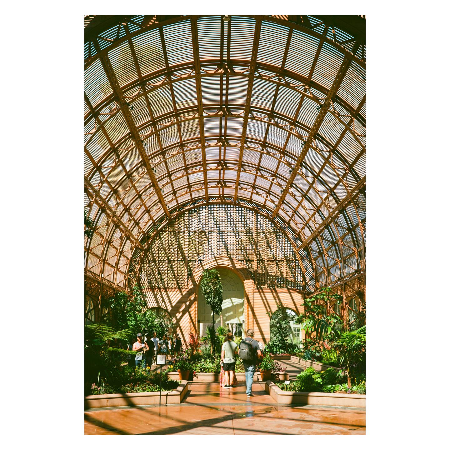 image 36077 by Accomplished-Pea-492