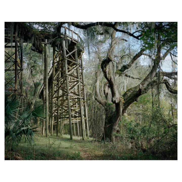 From "Old Growth" — Mamiya 7, 80mm, Portra 400