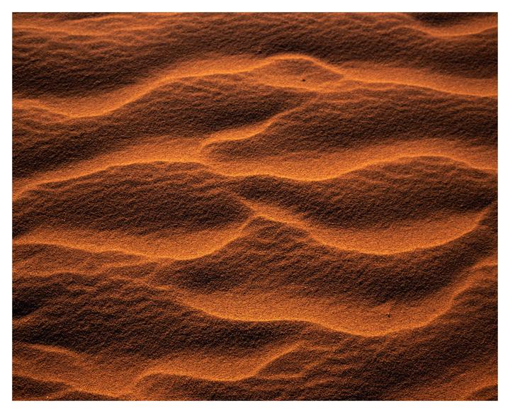 Desert Textures [Mamiya 7 / 80mm / Velvia + Canon A1 / 50mm / Provia]