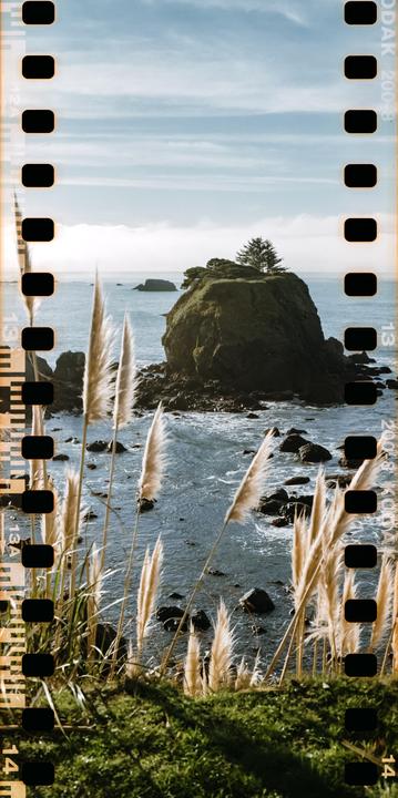 The Coast [Mamiya 7ii 80MM · Kodak Kodacolor 200]