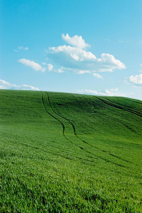 Nikon FE2, 50mm 1.8 ai, Portra 160