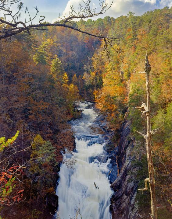 Fall Colors at Tallulah Gorge | Intrepid 4x5 Kodak Ektar | Nikon L35AF Ultramax