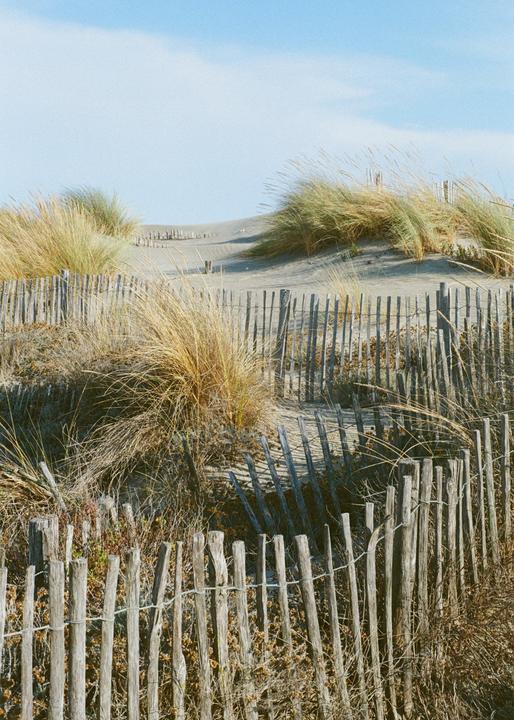 a day at the beach / Minolta X300 / 50mm f/1.7 / Kodak Gold or Ultramaxx