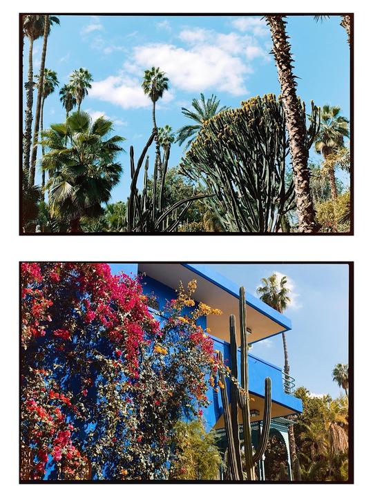 Marrakesh and Atlas Mountains (Kodak Portra 400, 160, Ultramax, Gold, HP5, Pentax-FA SMC 43mm f1.9 limited, Pentax Super A)