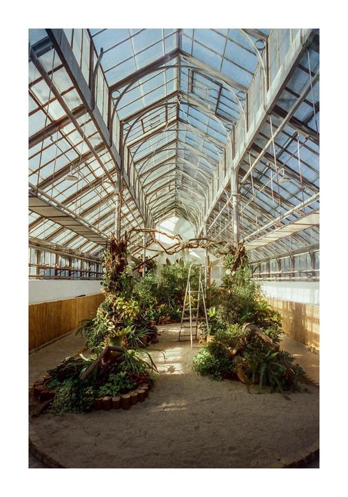 Botanical garden - Leica M3, 21mm, Opticolour 200