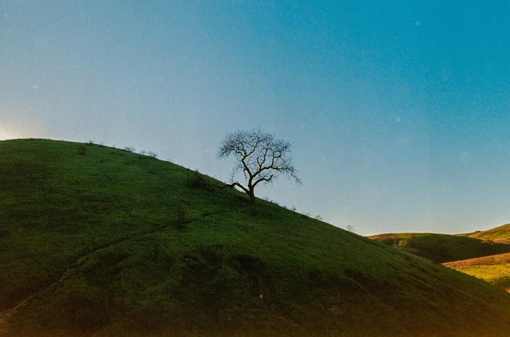 California Hills / Pentax K1000 / 28mm / Kodak Ultramax 400