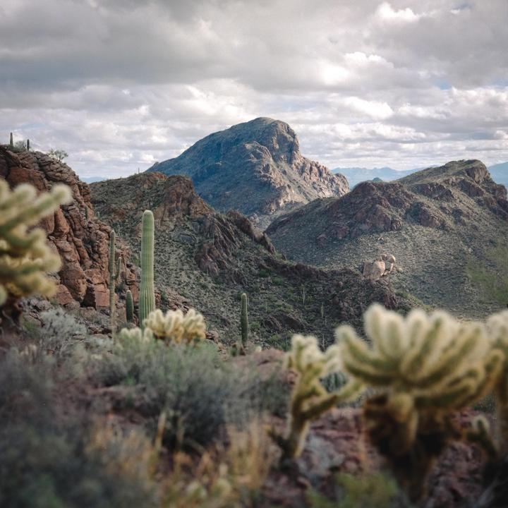 Rugged West | Hasselblad 500cm | Fuji Pro400h