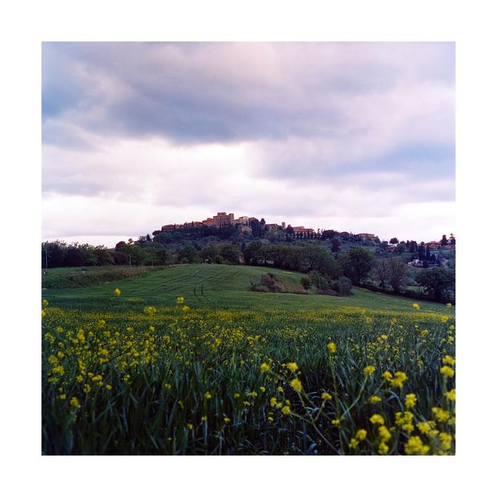 Tuscany fields [Minolta Autocord, Cinestill 800T]