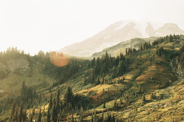 Mt. Rainier on a sunny September day [Cinestill 400D, Nikon FM, Nikkor 35mm]