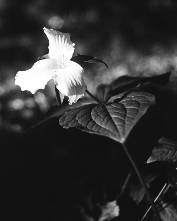 One of my fav photos I’ve taken