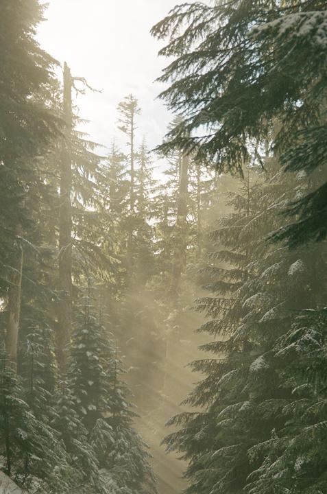 How can I improve my photography?