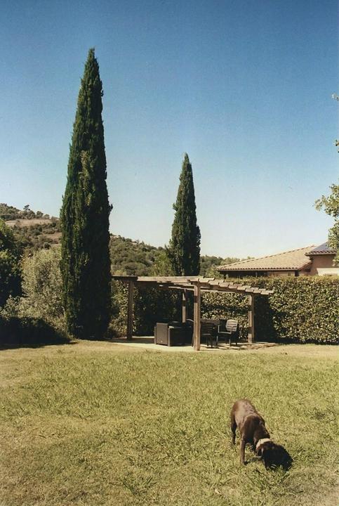 My uncle gave me his old analog camera to try at holiday, give me one reason to not buy a film camera right now | Kodak Gold 200, Minolta Dynax 500SI, Sigma 28-200 F/3.8-5.6