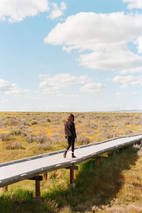 Boardwalk of hopes and dreams | Canon F-1 50mm | Portra 400