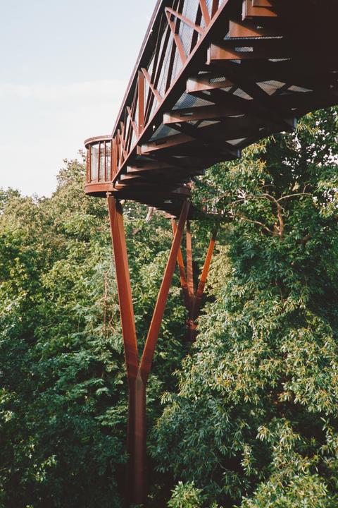 Devastatingly realized halfway through a 35mm roll of Kodak Aerocolor IV 100 that I had shot it at 800. So I committed to 800 for the rest and pushed 2.5 stops during dev. I'm shocked at how well it stood up! // Kew Gardens, UK | Olympus XA | Flic Film Elektra 100