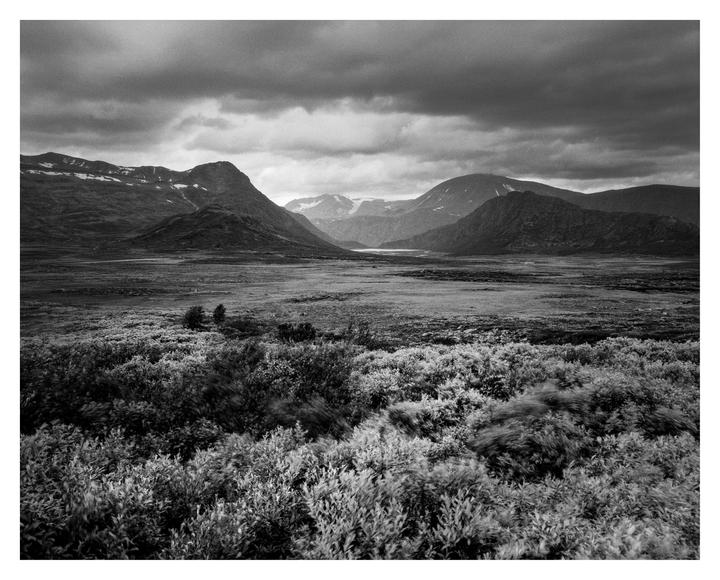 Mountain Winds (Pentax 67 - 55mm f4 - Ilford Ortho Plus)