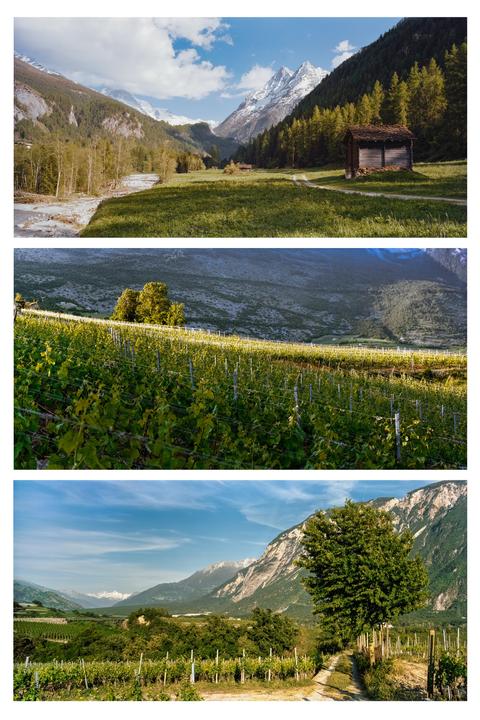 6x12 panorama tests [Intrepid 4x5, Super 120 back, Ektar 100]