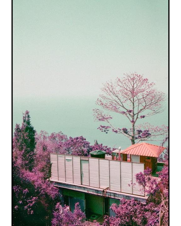 Langkawi [Lomochrome Purple || Yashica Electro 35 CC]
