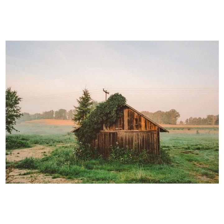 Summer vs. Winter | Leica MP + Elmarit 28 | Portra 400