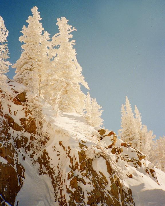 Warm but cold (Olympus XA / Portra 400)