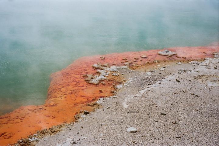 A body of water with steam rising from it meets a vibrant orange and white mineral deposit on the shore.