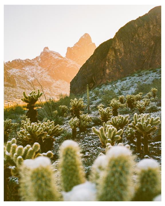 snow in the desert | minolta CLE + m-rokkor 40mm | ektar 100