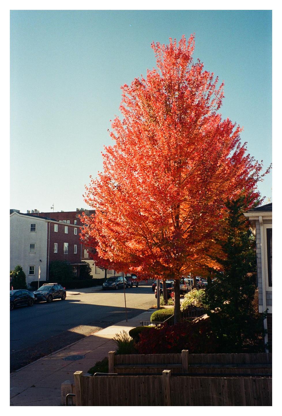 image 36308 by TurtleLikeReflx