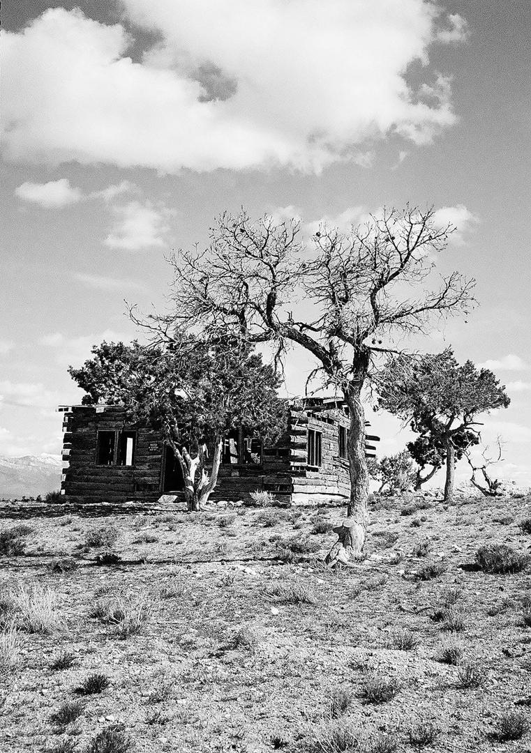 An abandoned wooden cabin stands on a hill surrounded by trees under a cloudy sky.