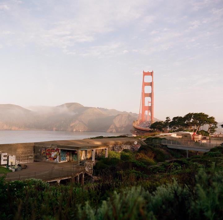 Presidio Morning [Yashica D TLR | Kodak Gold, Portra 800]