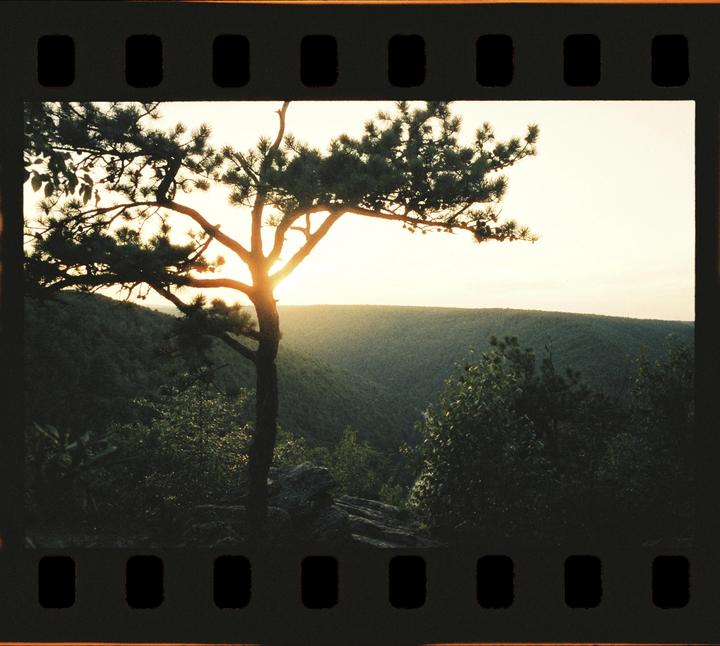 Tank Hollow | Opticolour 200 | Contax G1 28mm