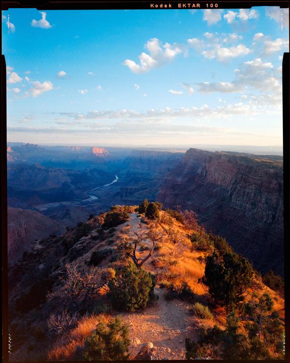 Morning Light | Ektar 100, Schneider-Kreuzenach 90mm f/8, Intrepid 4x5 Mk V