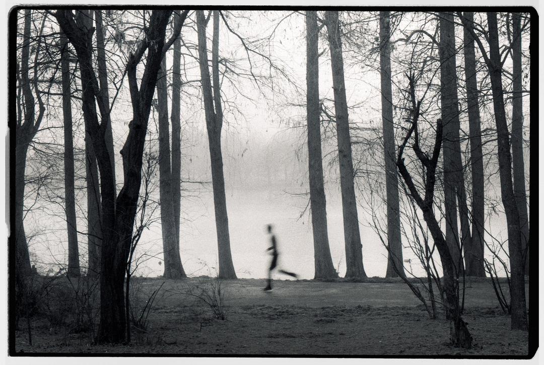 One foggy morning | Nikon F3 | Lomo Lady Grey 400, shot on nikon f3 with lomography lady grey